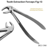 Tooth Extraction Forceps Fig-13