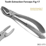 Tooth Extraction Forceps Fig-17