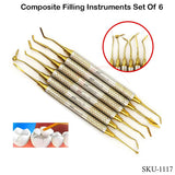 Composite Filling Set of 6 Titanium Gold Coated
