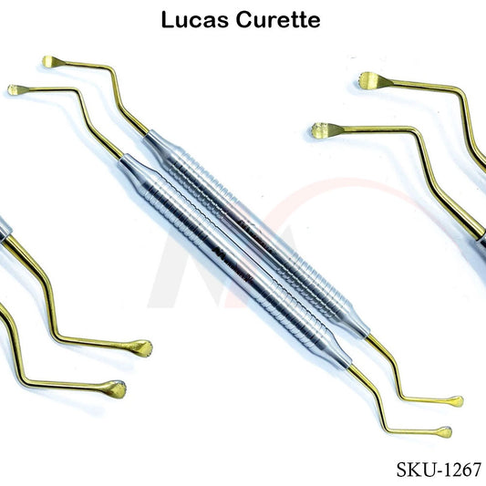 Lucas Curettes Set of 2 Gold