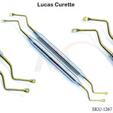 Lucas Curettes Set of 2 Gold