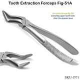 Tooth Extraction Forceps Fig-51A